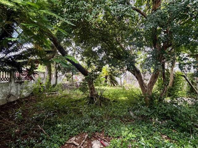 #310 - Casa para Venda em Caraguatatuba - SP